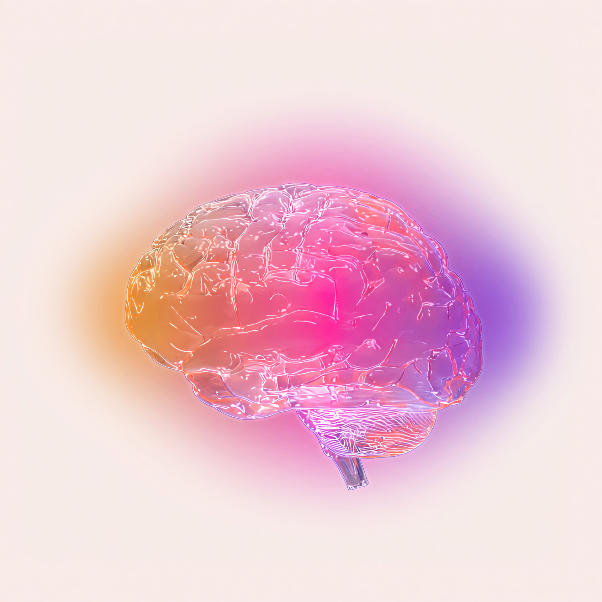 Brain analysis
